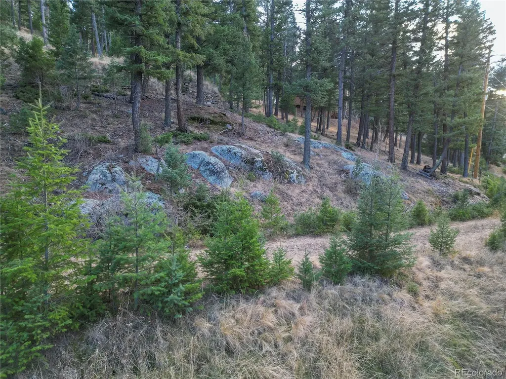 26779 Fern Gulch Road Evergreen CO 80439