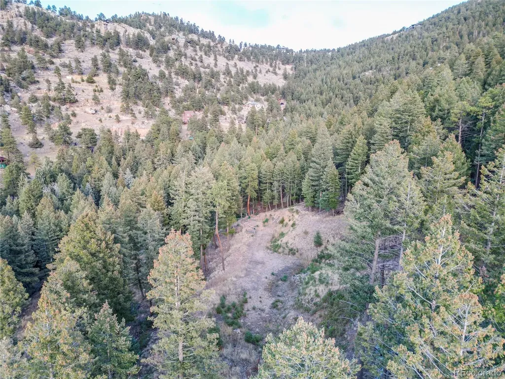 26779 Fern Gulch Road Evergreen CO 80439