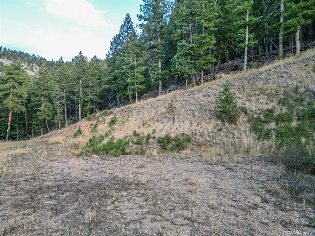 26779 Fern Gulch Road Evergreen CO 80439