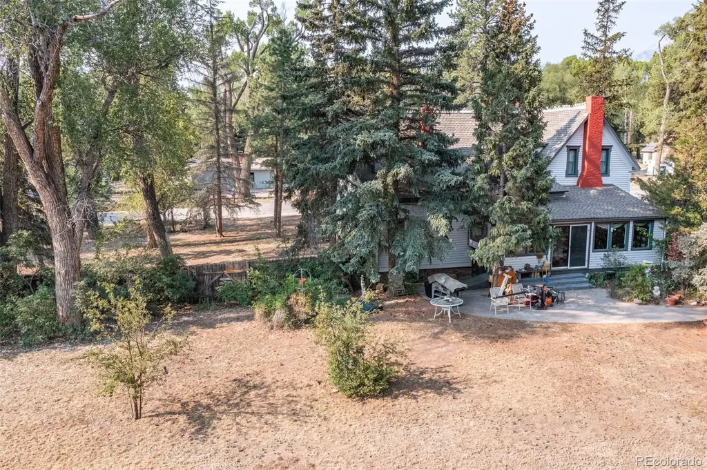 408 Princeton Avenue Buena Vista CO 81211