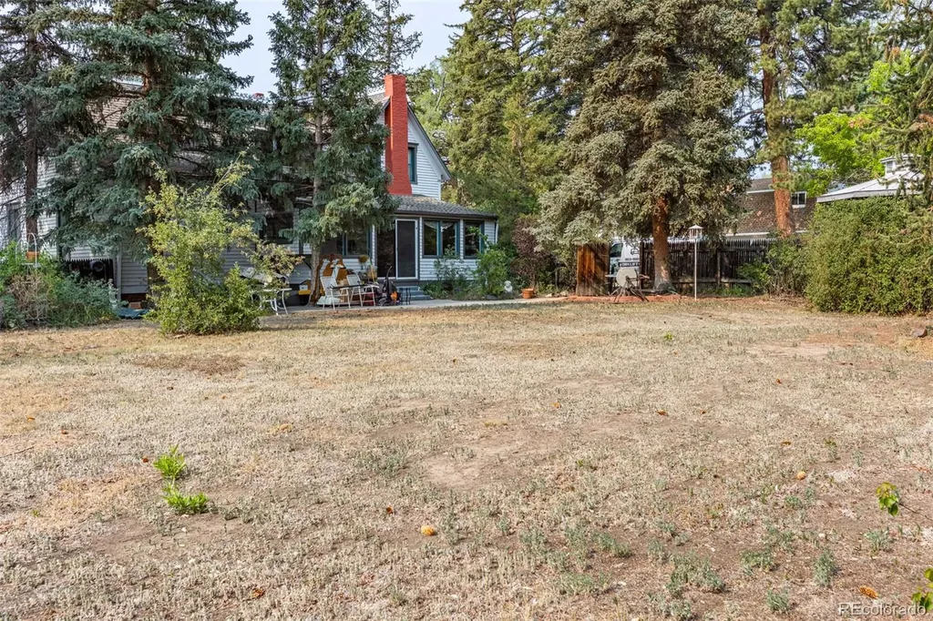 408 Princeton Avenue Buena Vista CO 81211