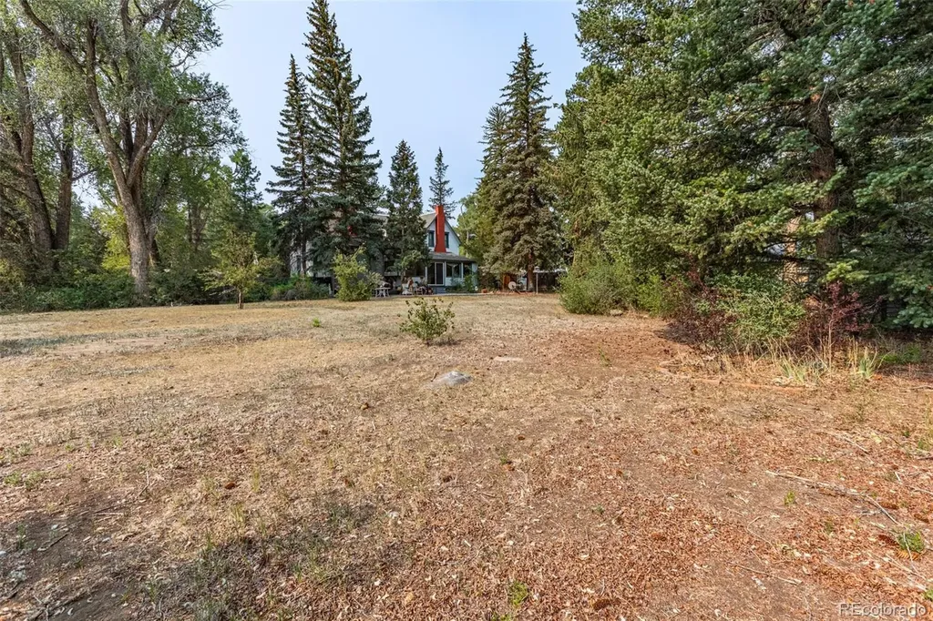 408 Princeton Avenue Buena Vista CO 81211