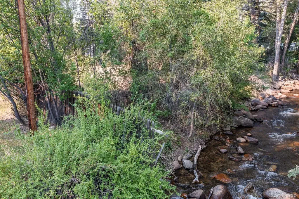 408 Princeton Avenue Buena Vista CO 81211