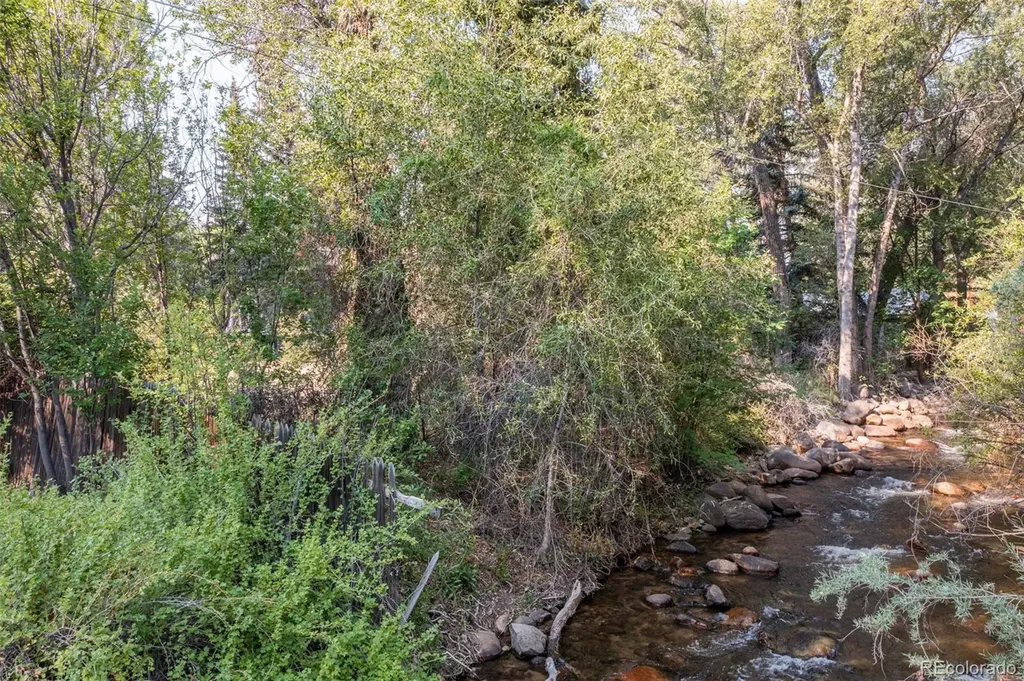 408 Princeton Avenue Buena Vista CO 81211