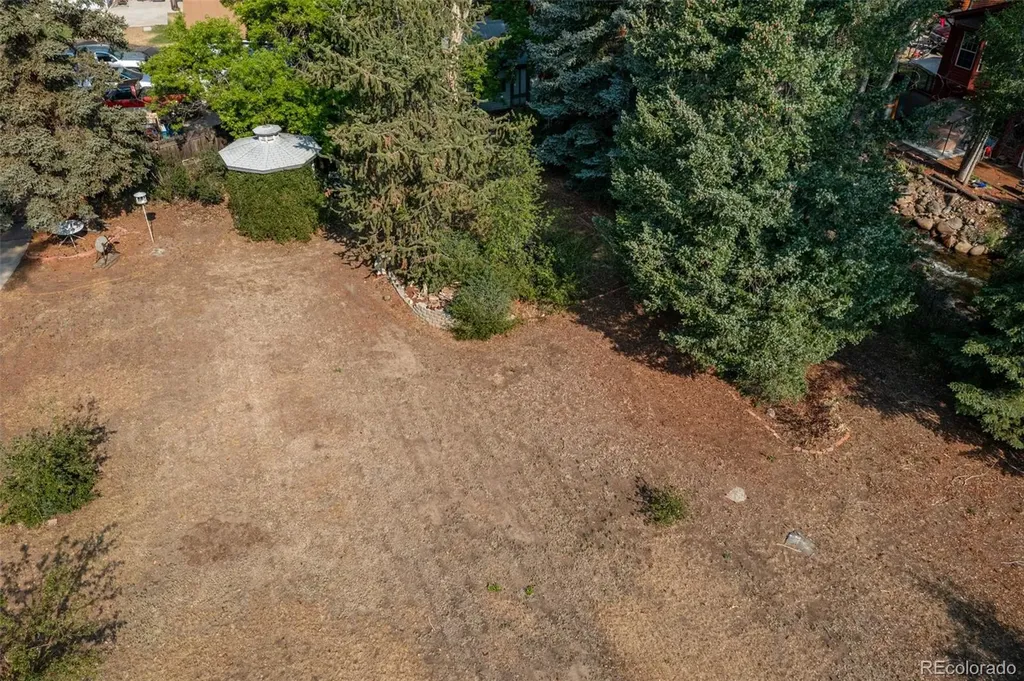408 Princeton Avenue Buena Vista CO 81211