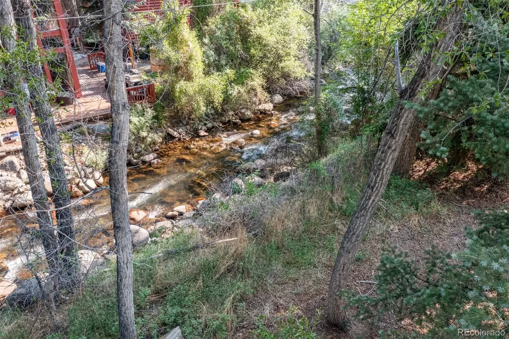 408 Princeton Avenue Buena Vista CO 81211