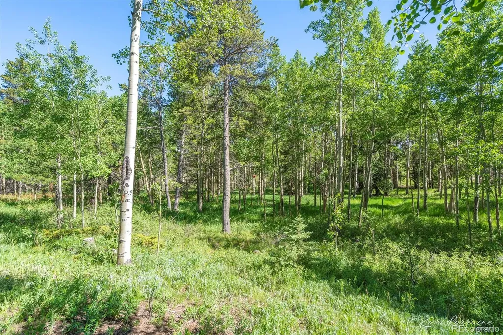 582 Karlann Drive Black Hawk CO 80422