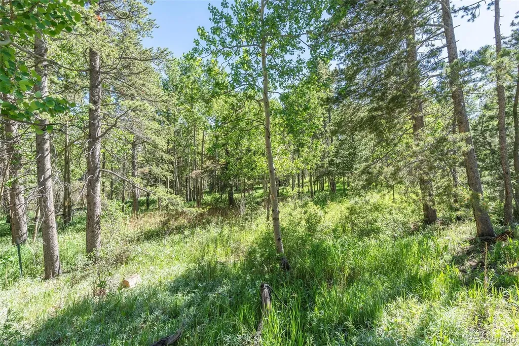 582 Karlann Drive Black Hawk CO 80422