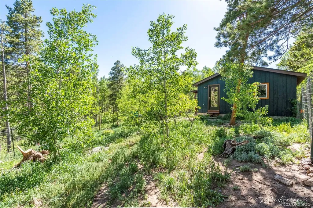 582 Karlann Drive Black Hawk CO 80422