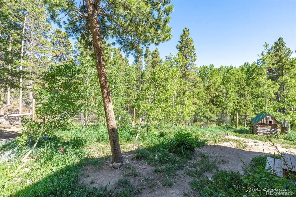 582 Karlann Drive Black Hawk CO 80422