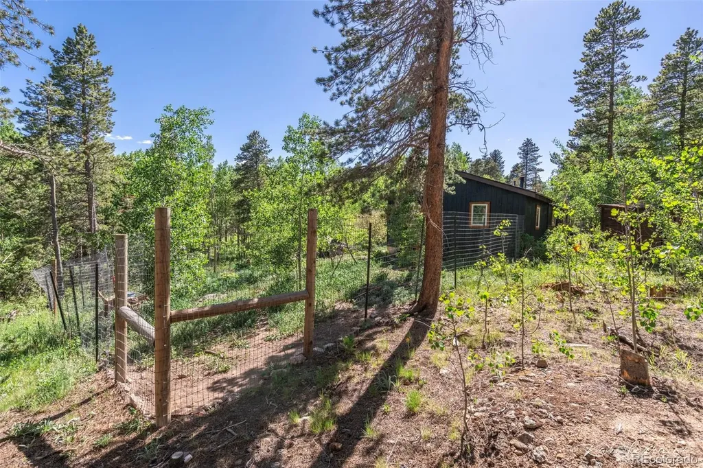 582 Karlann Drive Black Hawk CO 80422