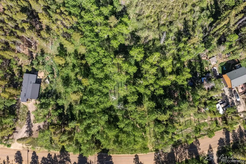 582 Karlann Drive Black Hawk CO 80422