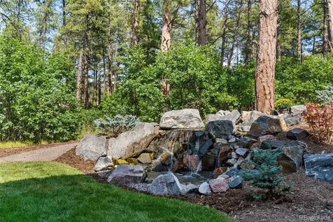 1587 Avenida Del Sol Castle Rock CO 80104