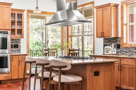 1587 Avenida Del Sol Castle Rock CO 80104