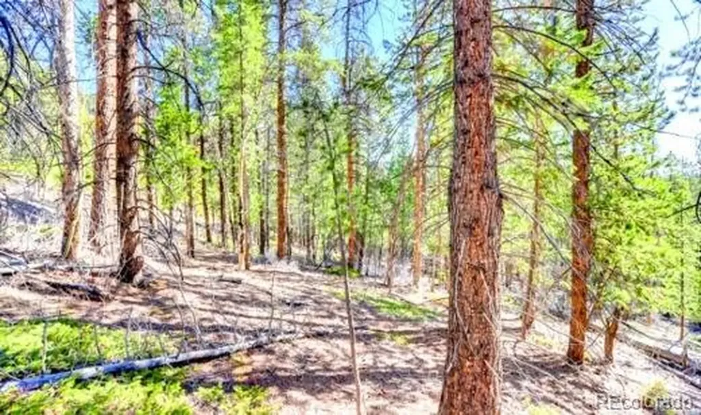 2222 Swift Claim Road Georgetown CO 80444