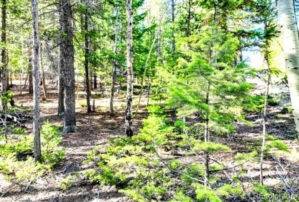 2222 Swift Claim Road Georgetown CO 80444