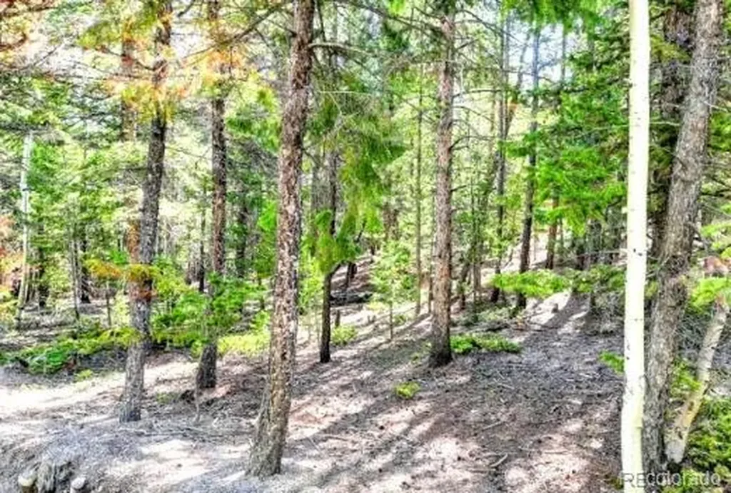 2222 Swift Claim Road Georgetown CO 80444
