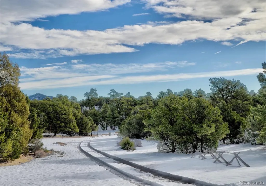 395 Fox Fire Trail Cotopaxi CO 81223