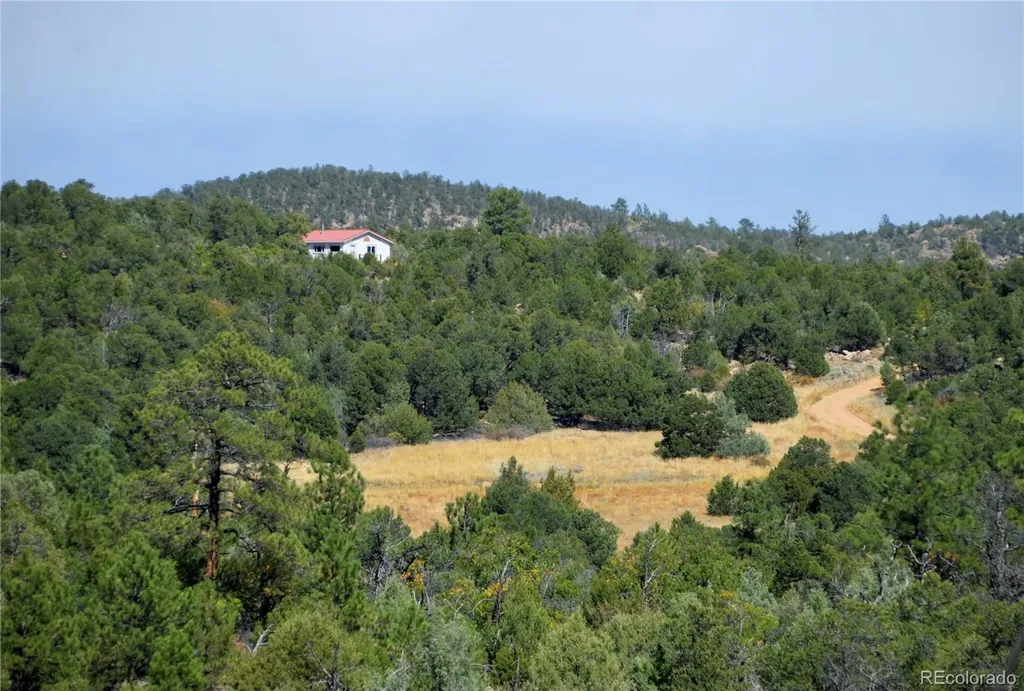 395 Fox Fire Trail Cotopaxi CO 81223