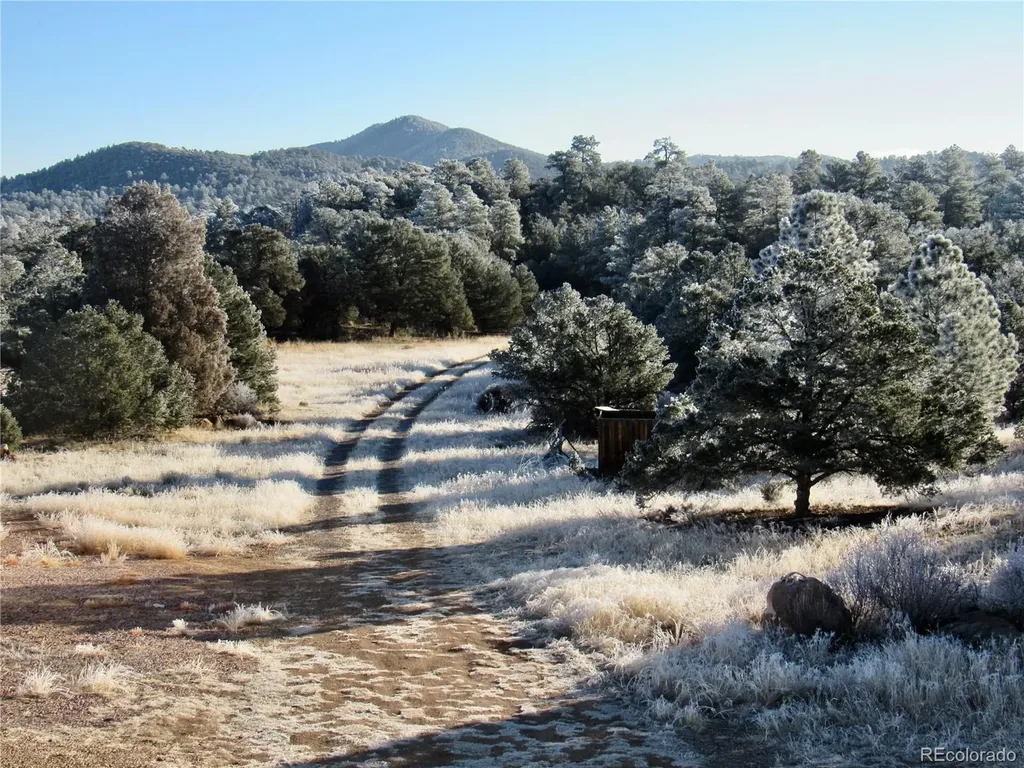 395 Fox Fire Trail Cotopaxi CO 81223