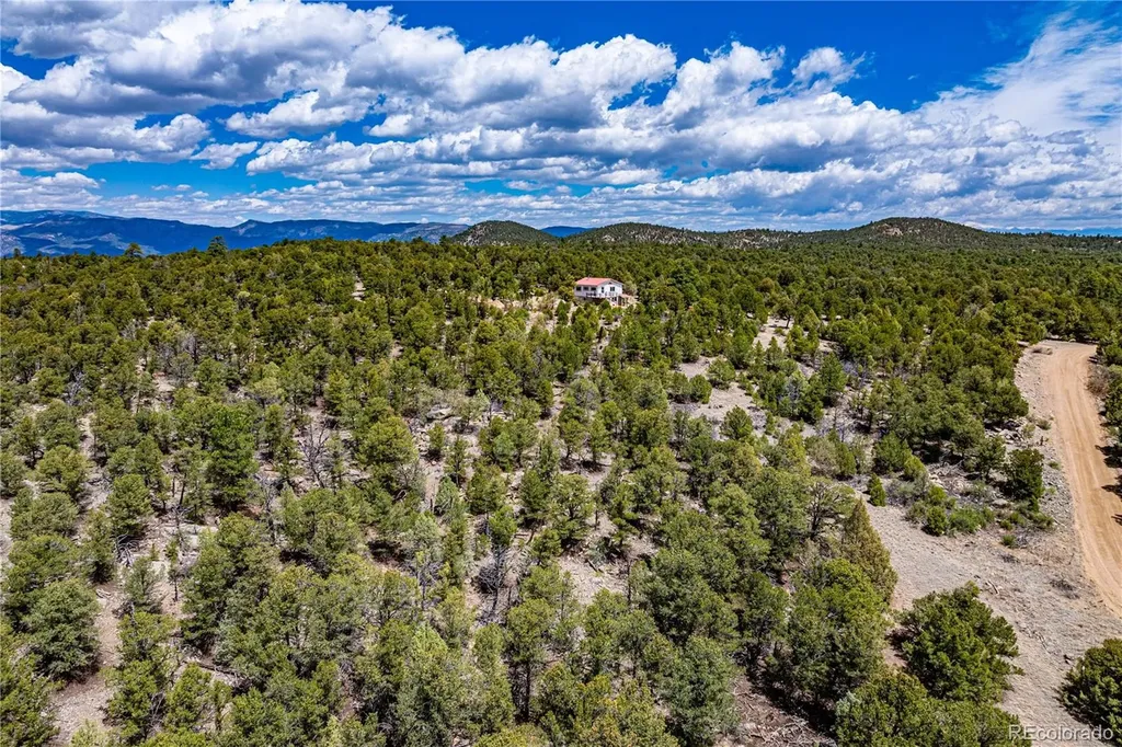395 Fox Fire Trail Cotopaxi CO 81223