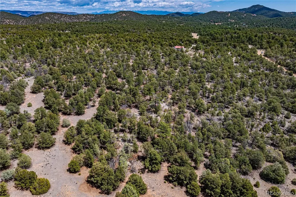 395 Fox Fire Trail Cotopaxi CO 81223