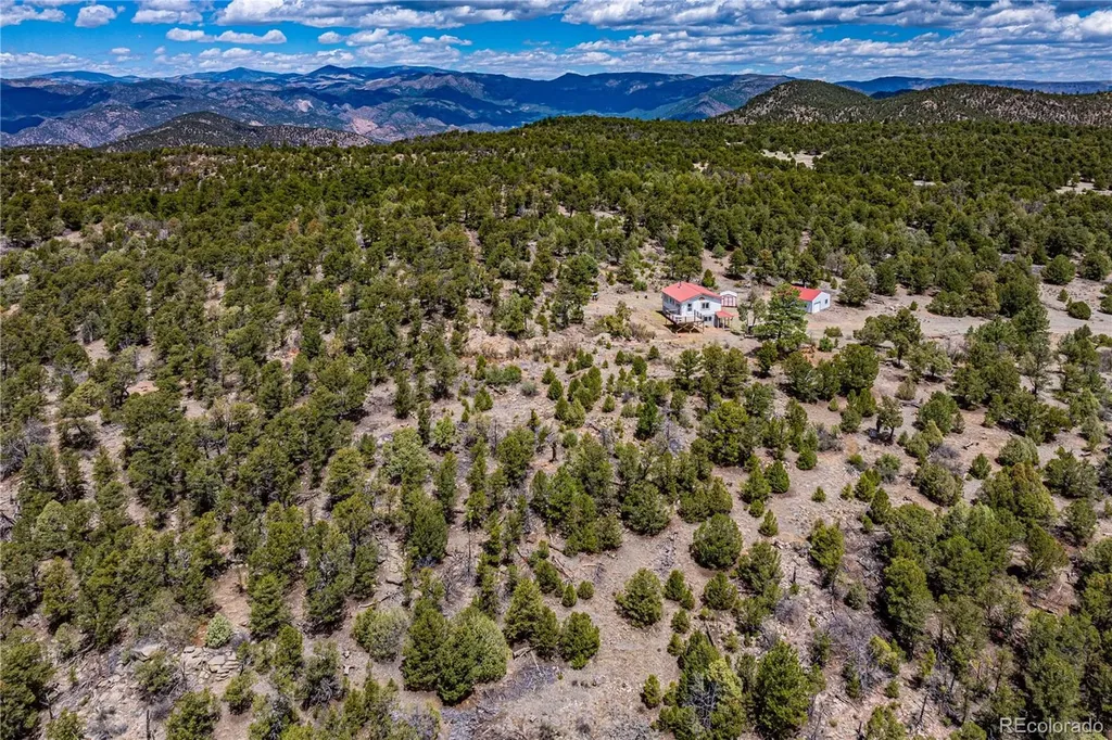 395 Fox Fire Trail Cotopaxi CO 81223