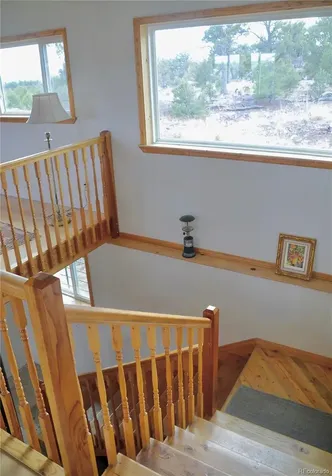 395 Fox Fire Trail Cotopaxi CO 81223