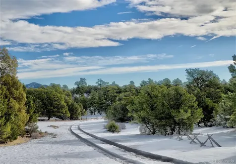 395 Fox Fire Trail Cotopaxi CO 81223