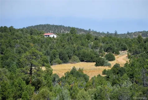 395 Fox Fire Trail Cotopaxi CO 81223