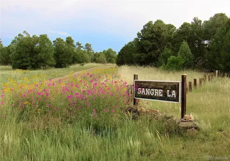 395 Fox Fire Trail Cotopaxi CO 81223