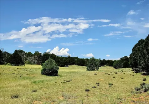 395 Fox Fire Trail Cotopaxi CO 81223