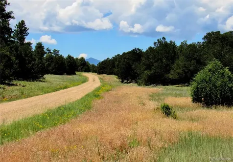 395 Fox Fire Trail Cotopaxi CO 81223