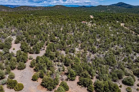 395 Fox Fire Trail Cotopaxi CO 81223