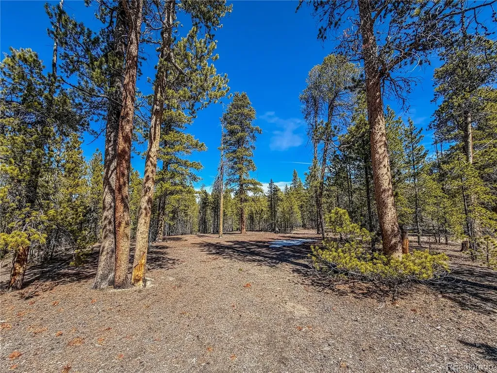 199 Cedar Drive Twin Lakes CO 81251