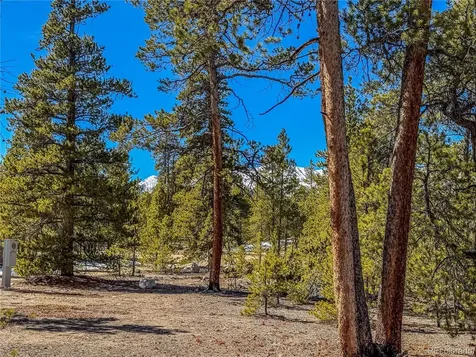 199 Cedar Drive Twin Lakes CO 81251