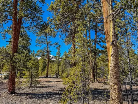 199 Cedar Drive Twin Lakes CO 81251