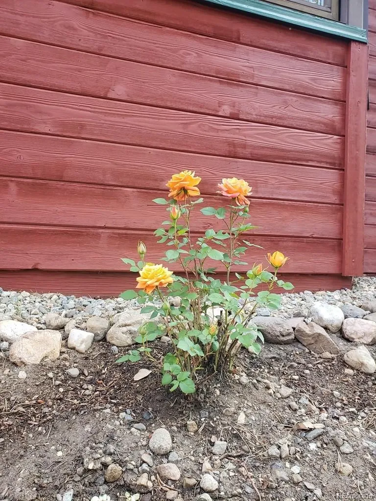245 Baby Doe Drive Leadville CO 80461