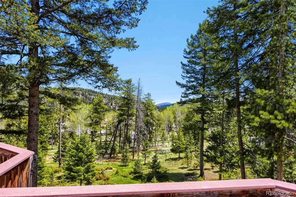 19653 Silver Ranch Road Conifer CO 80433