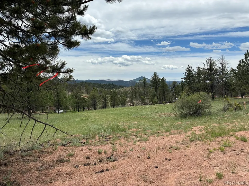 266 Chapparal Trail Florissant CO 80816