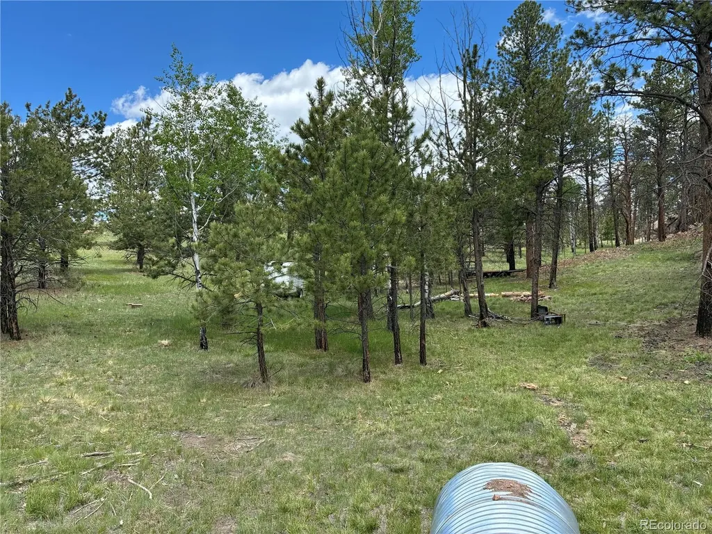 266 Chapparal Trail Florissant CO 80816