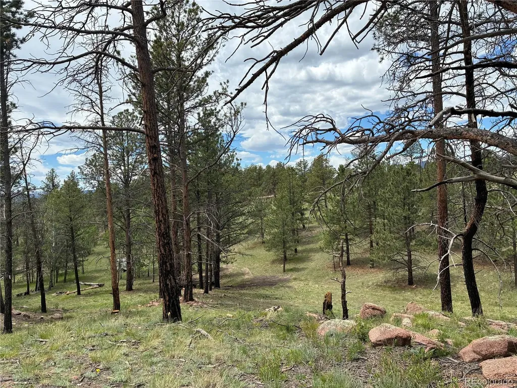 266 Chapparal Trail Florissant CO 80816