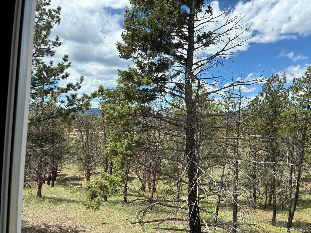 266 Chapparal Trail Florissant CO 80816