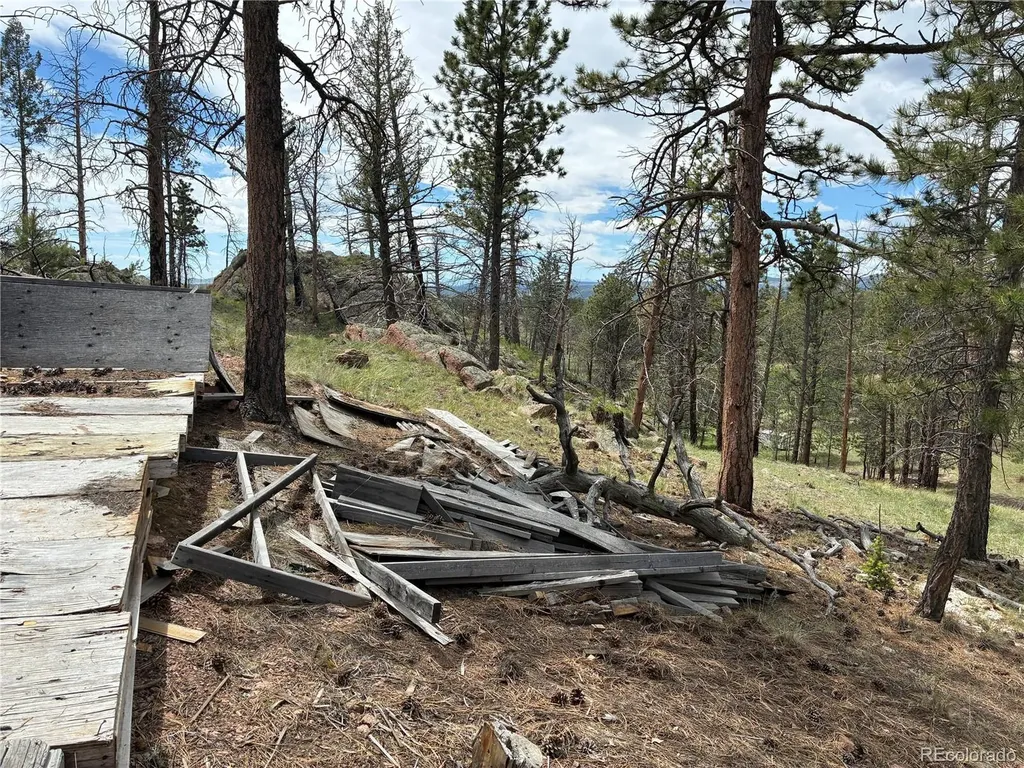 266 Chapparal Trail Florissant CO 80816