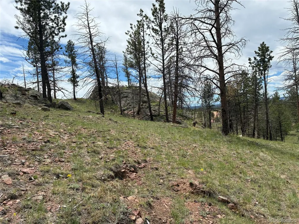 266 Chapparal Trail Florissant CO 80816