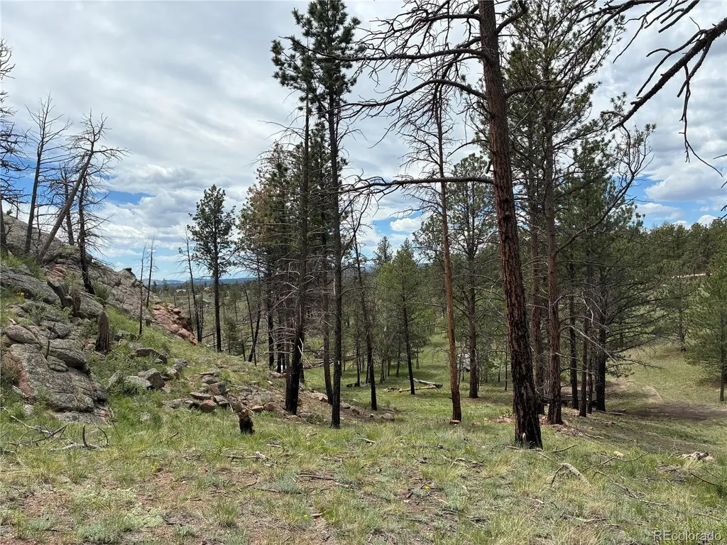266 Chapparal Trail Florissant CO 80816