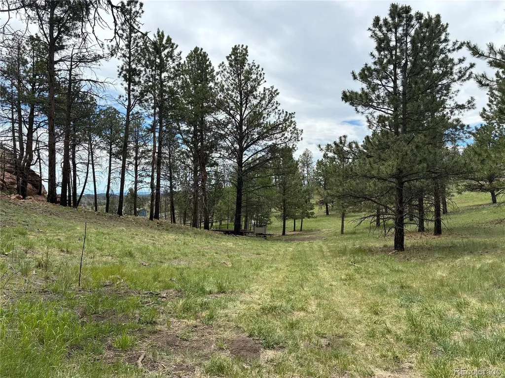 266 Chapparal Trail Florissant CO 80816