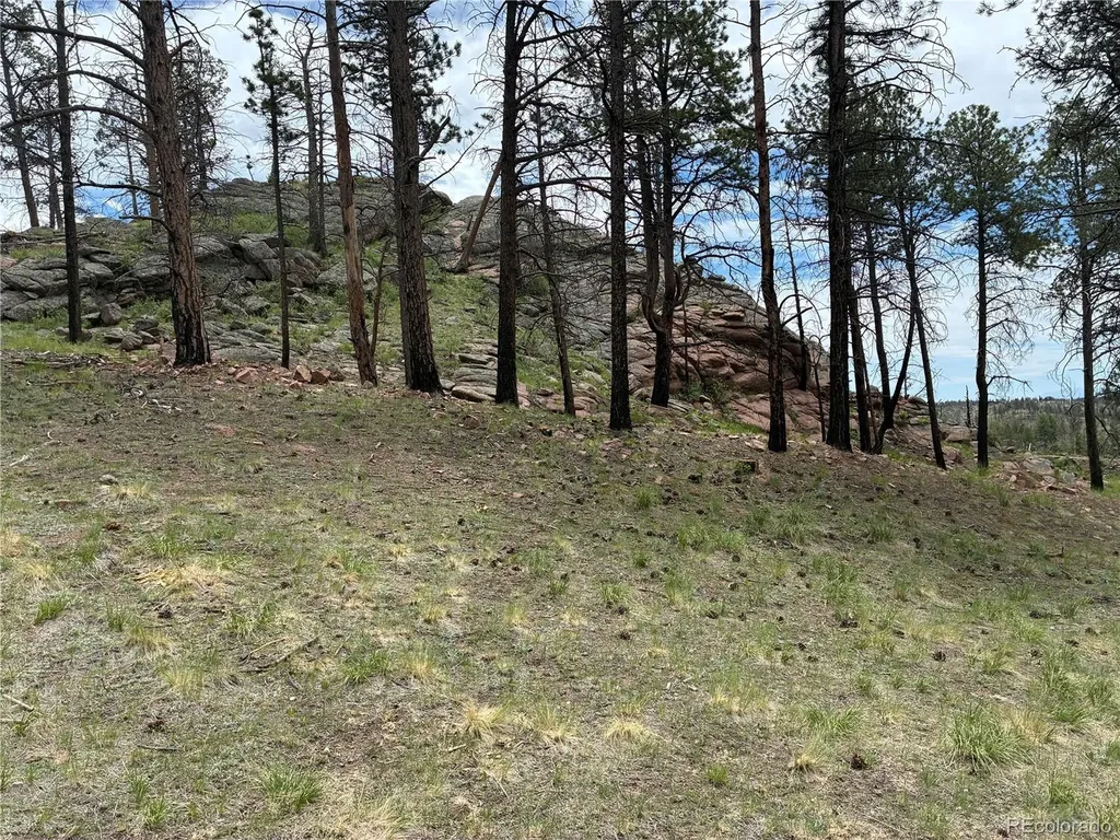 266 Chapparal Trail Florissant CO 80816