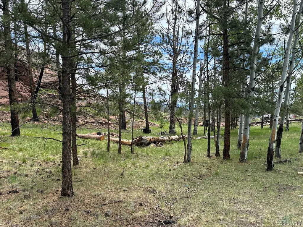 266 Chapparal Trail Florissant CO 80816