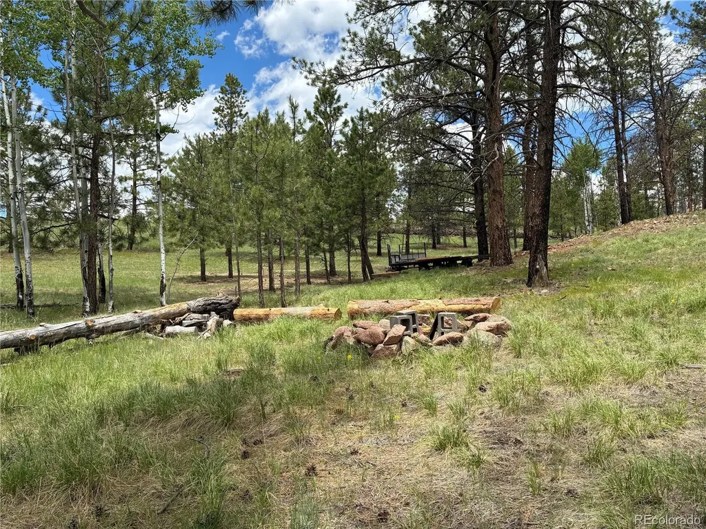 266 Chapparal Trail Florissant CO 80816